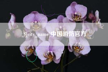 无为中国消防官方