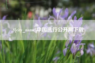 无为中国执行公开网下载