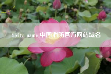 无为中国消防官方网站域名