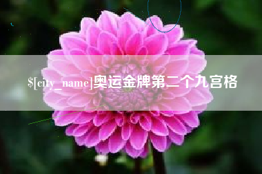 无为奥运金牌第二个九宫格