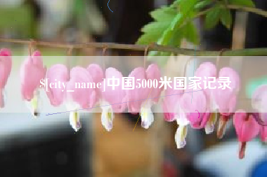 无为中国5000米国家记录