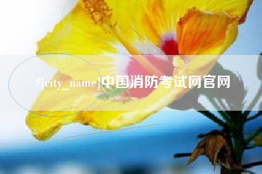 无为中国消防考试网官网