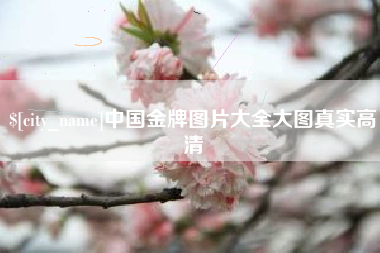 无为中国金牌图片大全大图真实高清