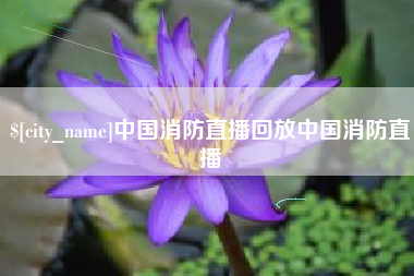 无为中国消防直播回放中国消防直播
