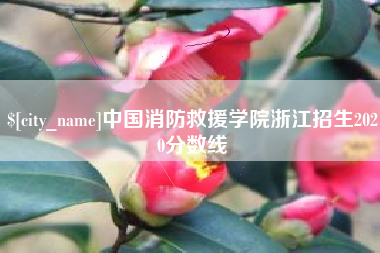 无为中国消防救援学院浙江招生2020分数线