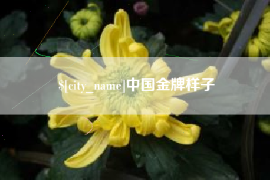 无为中国金牌样子