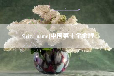 无为中国第十个金牌