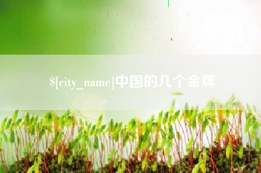 无为中国的几个金牌