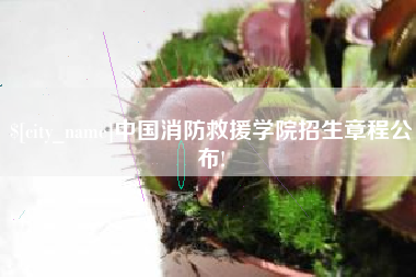 无为中国消防救援学院招生章程公布!