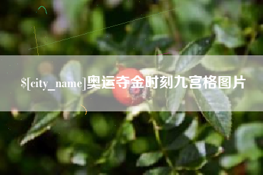 无为奥运夺金时刻九宫格图片