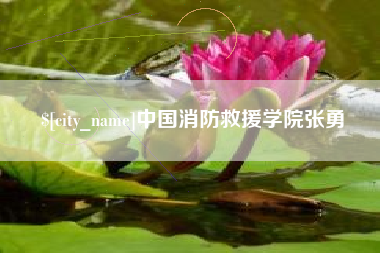 无为中国消防救援学院张勇