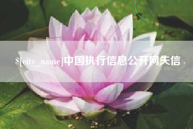 无为中国执行信息公开网失信
