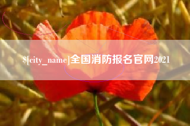 无为全国消防报名官网2021