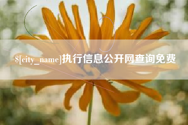无为执行信息公开网查询免费